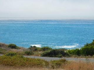 524 Lower Pacific Dr, Shelter Cove, CA 95589-9232