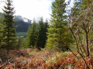 3 Marble Mtn, Cougar, WA 98616-9712