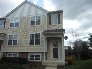 335 Terra Springs Cir, Volo, IL 60020-3209