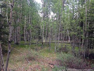2594 Longbow Dr, Fairplay, CO 80456-0422