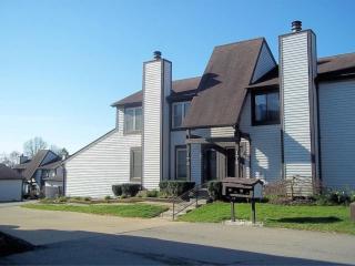 172 Stillmeadow Dr, Cincinnati OH  45245-2812 exterior