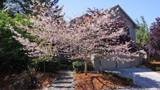 2160 Irving Dr, Eureka, CA 95503-7024