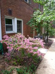 8512 Geren Rd, Silver Spring MD  20901-4317 exterior