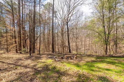 317 Allatoona Shores Dr, Holly Springs GA  30114-8598 exterior