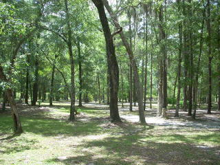 464 Birchwood Rd, Raybon, GA 31553-2310