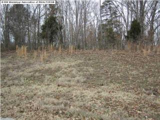 28 Polo Run Cv, Byhalia, MS 38611-7552