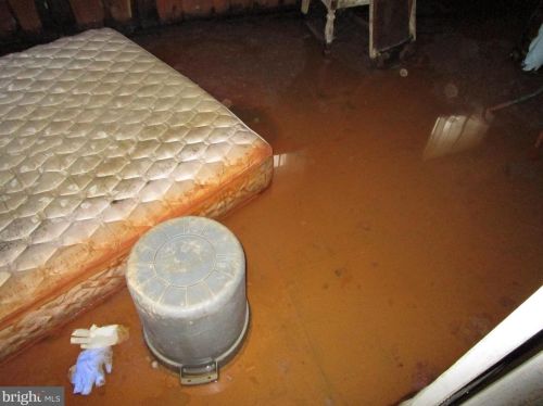 3906 Jeffry St, Silver Spring MD 20906-5131 exterior