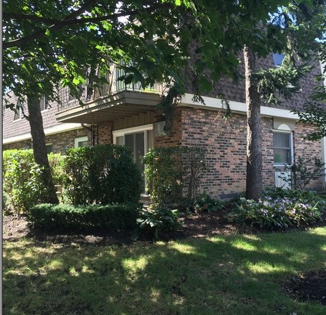 830 Trace Dr, Buffalo Grove, IL 60089-8312