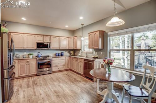 1102 Ptarmigan Dr, Woodland Park CO 80863-8004 exterior