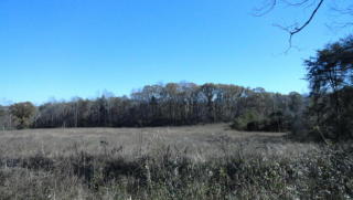 1402 Tittsworth Rd, Seymour, TN 37865-3202