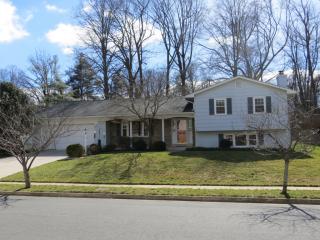 2603 Meredith Dr, Vienna, VA 22181-4040