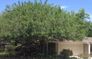 3034 Via De Caballo, Encinitas, CA 92024-6924