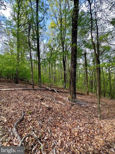 1765 Peters Mountain Ln, Upper Tract WV  26866 exterior