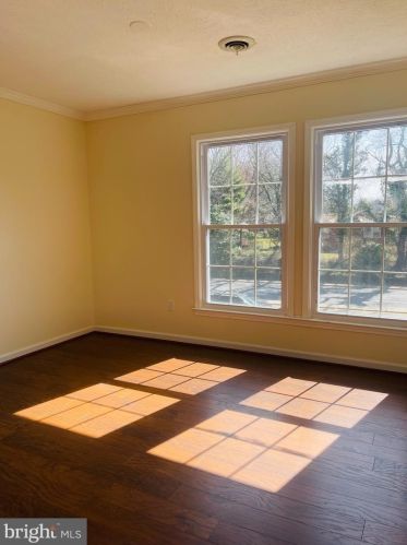 438 Northwest Dr, Silver Spring MD 20901-1435 exterior