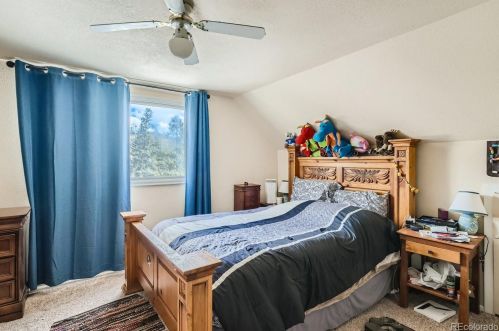 199 Geil Ln, Montezuma, CO 80435-8379