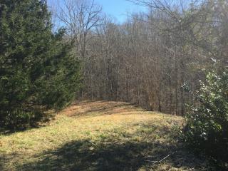 67 Lion Ct, Dahlonega, GA 30533-6286