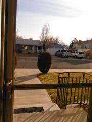 2928 Bonito Ave, Grand Junction CO  81504-5295 exterior