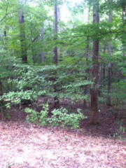 7932 Jenkins Rd, Columbus, GA 31829-1912
