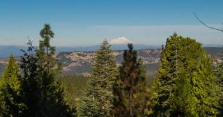 7361 Sleepy Ln, Shingletown, CA 96088-9659