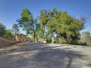 1131 Large Oak Dr, Swansboro Country, CA 95667-9413