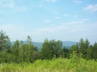 70 Apple Tree Ln, Richmond, VT 05477-4437