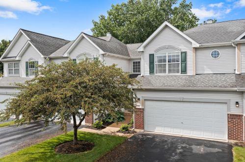 1230 Appaloosa Way, Hanover Park IL  60103-1872 exterior