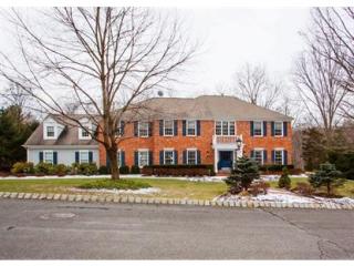 5 White Oak Ridge Ct, Mendham, NJ 07945-2931