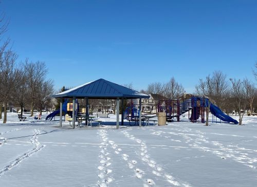 791 Delacourte Ave, Lemont IL  60490-5006 exterior