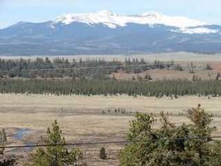 1462 Bonell Dr, Fairplay CO  80440-4010 exterior