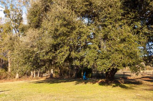 2191 Birds Nest Rd, Wadmalaw Is, SC 29487-7077