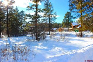 15 Cave Basin Ct, Durango, CO 81301-9507