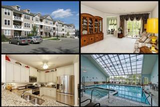 7213 Polk Dr, Wharton, NJ 07885-4204