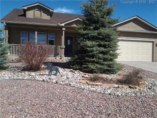 12306 Snaffle Bit Rd, Amo, CO 80831-7989