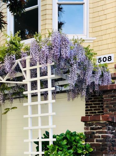 508 Belvedere St, San Francisco CA  94117-4364 exterior