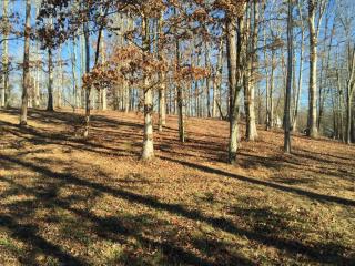 4502 Glennora Dr, Walland, TN 37886-2165