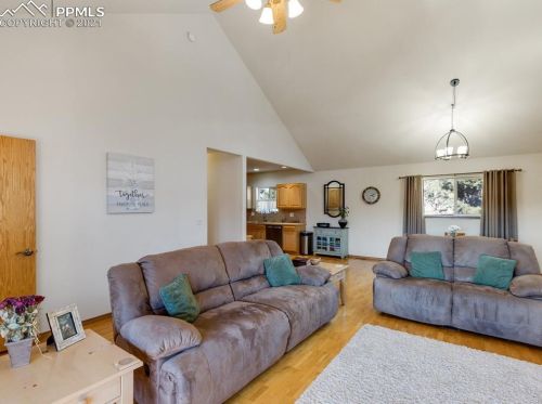 310 Panther Ct, Woodland Park CO exterior