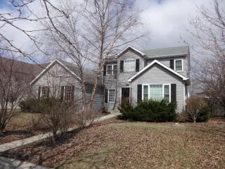 481 Pheasant Chase Dr, Lemont IL  60490-4514 exterior