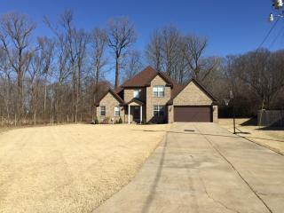 20 Shea Cv, Crosstown, TN 38004-7649