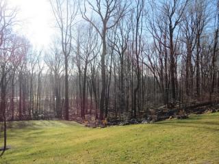 19 Majors Rd, Warren, NJ 07059-5308