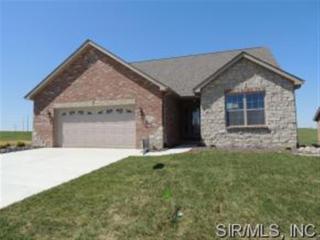 1521 New Brunswick Dr, Foster Pond, IL 62298-5623
