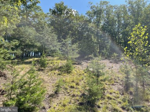 11075 Branch River Rd, Three Churches, WV 26757-7547
