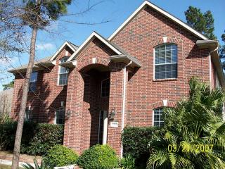 2509 Ellis Park Ln, Conroe, TX 77304-2925
