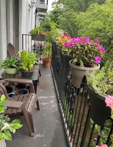 3203 Lenox Rd, Atlanta GA  30324-2512 exterior