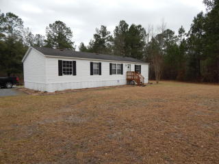123 Timilstone Ct, Huger, SC 29450-9701
