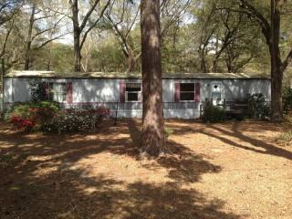 5388 Highway 162, Meggett, SC 29449-5746
