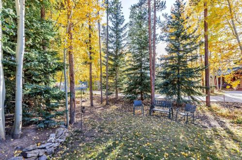 27 Fairview Cir, Breckenridge CO  80424-8921 exterior