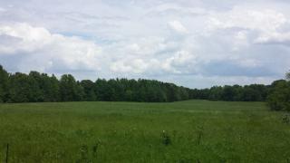 2305 Mt Pinson Rd, Denmark, TN 38391-1831