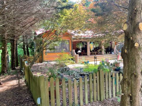1013 Mission Hill Rd, Ellijay, GA 30540-7366
