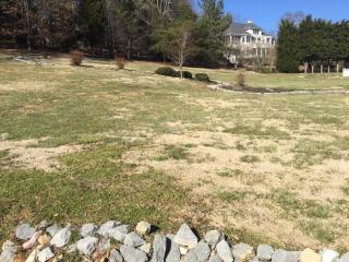 115 Southcove Dr, Greenback, TN 37742-2344