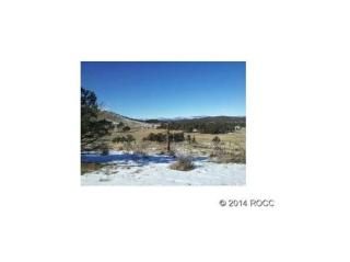 2826 E Path, Cotopaxi, CO 81223